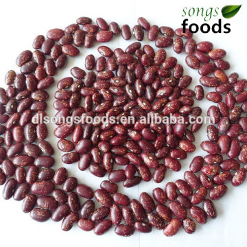 Canned dark speckled kidney beans